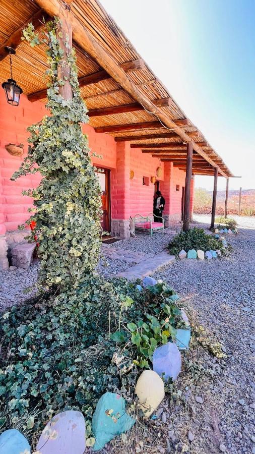 مبيت وإفطار هوماهواكا Hosteria Del Tantanakuy المظهر الخارجي الصورة